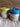 Sabai Grass Storage Box with Lid - WhySoBlue
