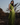 Mint Chutney Pants - WhySoBlue