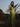 Mint Chutney Pants - WhySoBlue