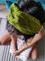 Green Embroidery cutwork headband - WhySoBlue